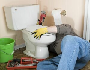 Clogged Toilet