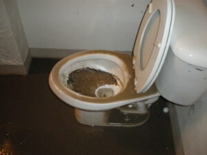 Clogged Toilet