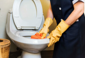 Clogged Toilet