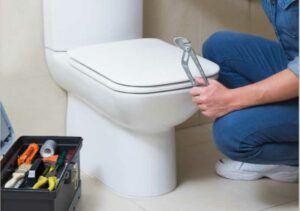 Clogged Toilet