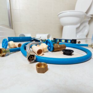Clogged Toilet