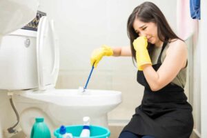 Clogged Toilet