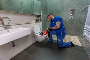 Clogged Toilet