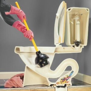 Clogged Toilet