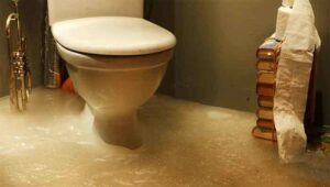 Clogged Toilet