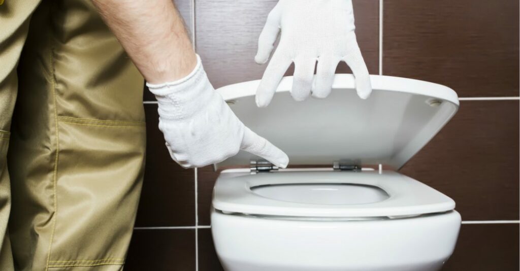 5 Signs Your Toilet is Clogged in Westlake Village Royal Plumbing LA