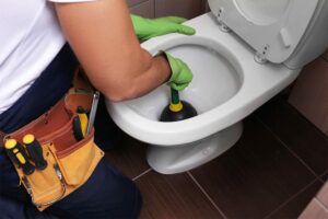 Clogged Toilet