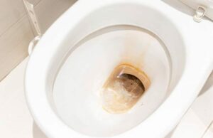 Clogged Toilet