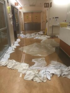 Clogged Toilet