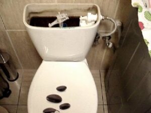 Clogged Toilet