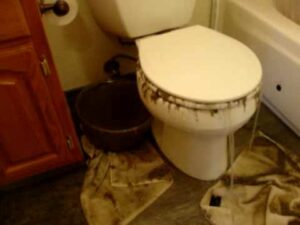 Clogged Toilet