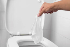 Clogged Toilet